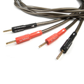    Chord Epic Reference Speaker Cable 3 m