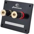 �������� ������������ Audiocore Audiomania KIT PR500GF