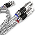 ������ ���������� ���������� XLR Ricable Invictus XLR Reference 3 m