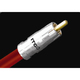 ������ BNC ITC-20G/BNC (�������� 50 ��.)
